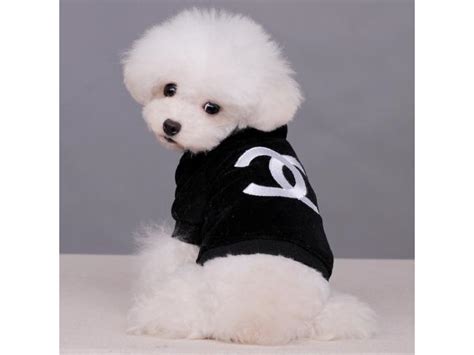 coco chanel dog outfits.